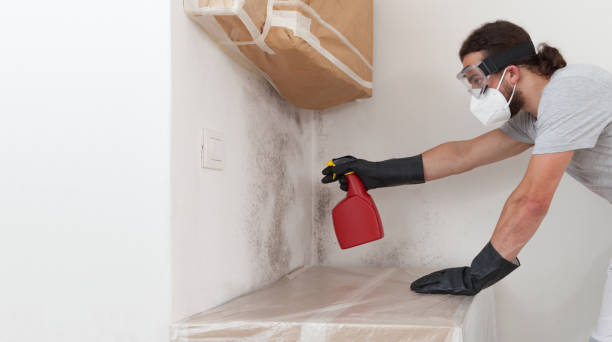 Professional Crawl Space Mold Remediation technician working in Chestnut Hill, MA